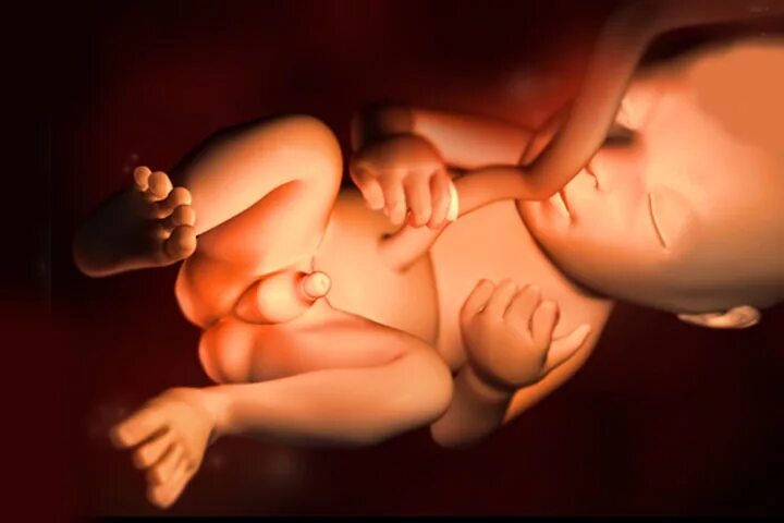 Ребенок в животе в 21 неделю. Малыш в 19 недель беременности в утробе.