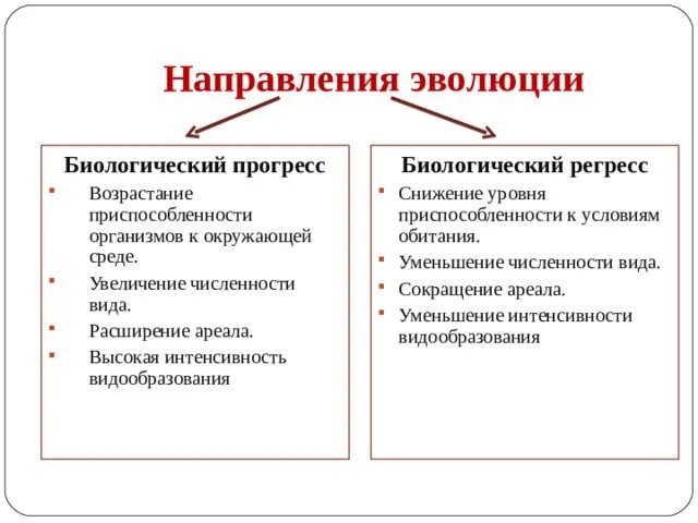 Направление развития т. Основные направления эволюции. Основные направления эволюционного развития. Основные направления эволюции биология. Направления эволюции Прогресс.