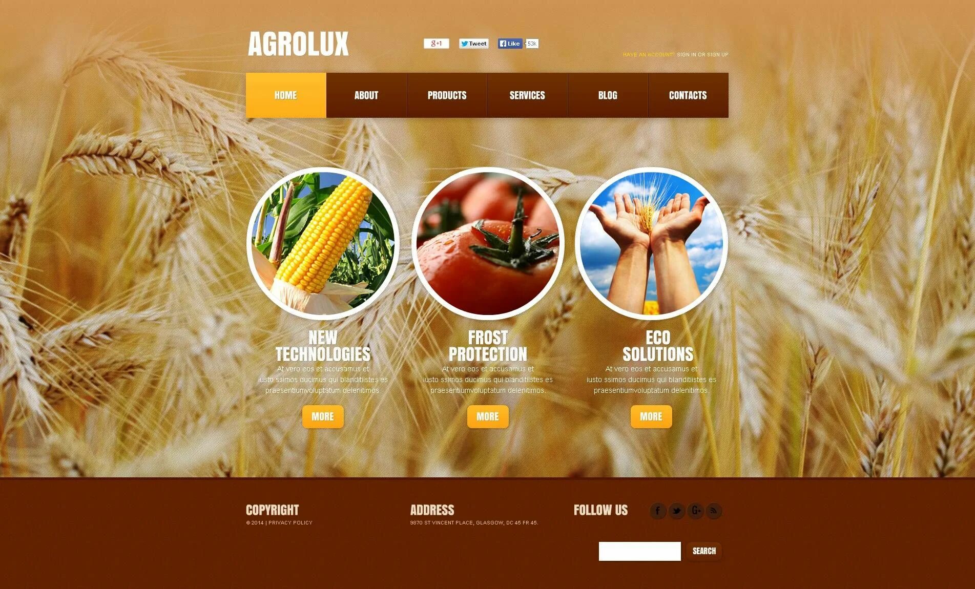 Wordpress products