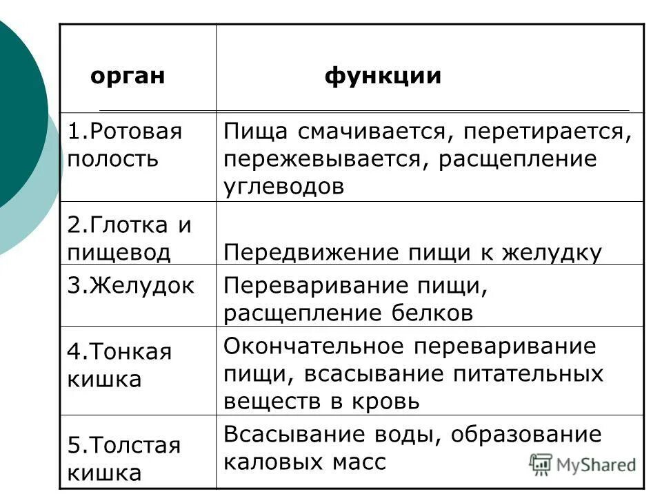 Характеристика функций органов полости рта. Полость носа таблица. Органы пищеварения особенности строения и функции таблица. Ротовая полость особенности строения и функции таблица. Ротовая полость особенности строения и функции таблица.