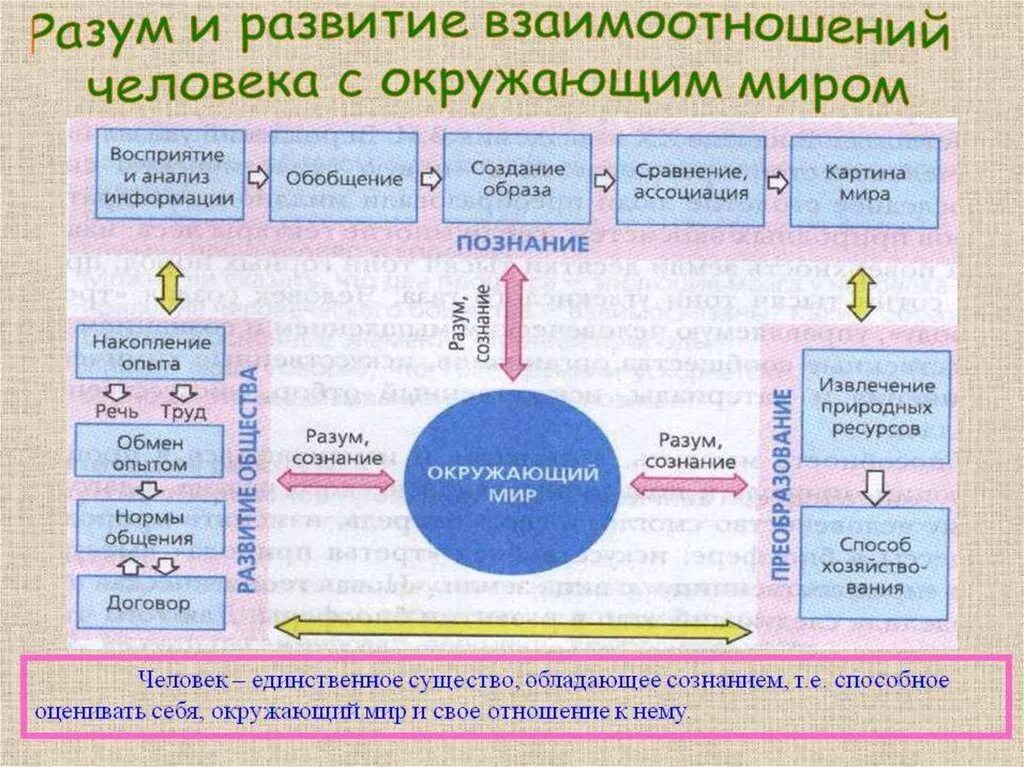 Взаимодействие людей примеры. Взаимодействие человека с окружающим миром. Разум и развитие взаимоотношений человека с окружающим миром. Схема связей человека с окружающим. Связь человека с окружающей средой.