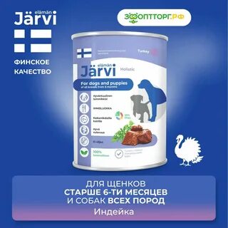 Jarvi обзор корма