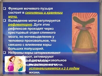 Функция пузырьков