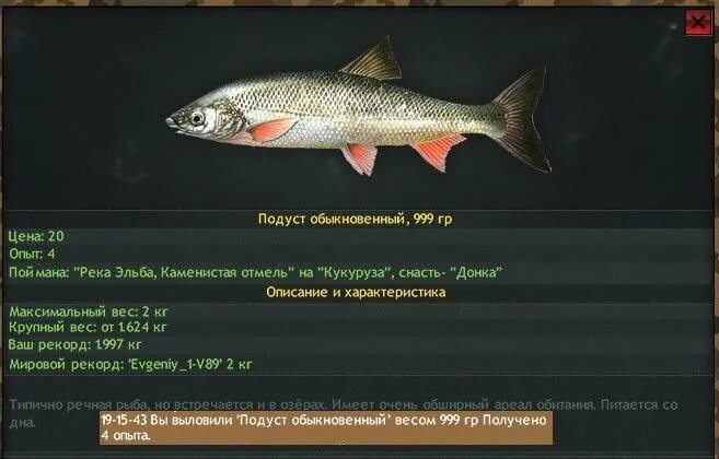 Подуст реальная рыбалка на ловить: найдено 86 изображений