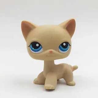 Кошка pet shop