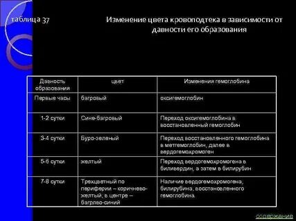 Описание кровоподтека