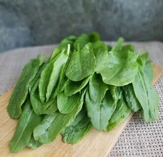 Ставь ❤ если кушал щавель 2024 Подслушано Злой Кудымкар ВКонтакте