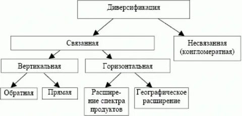 диверсификация нефтяной компании имеющей большие планы