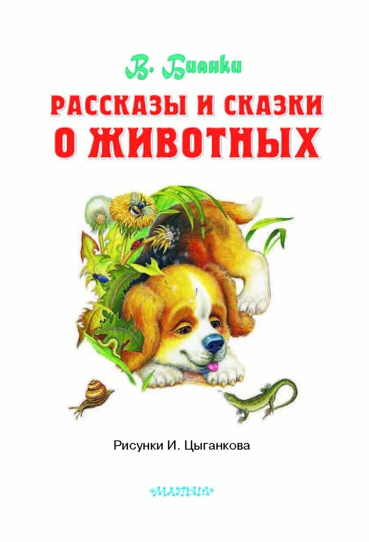 Бианки в.в. "рассказы и сказки о животных". Сказки о животных книга.