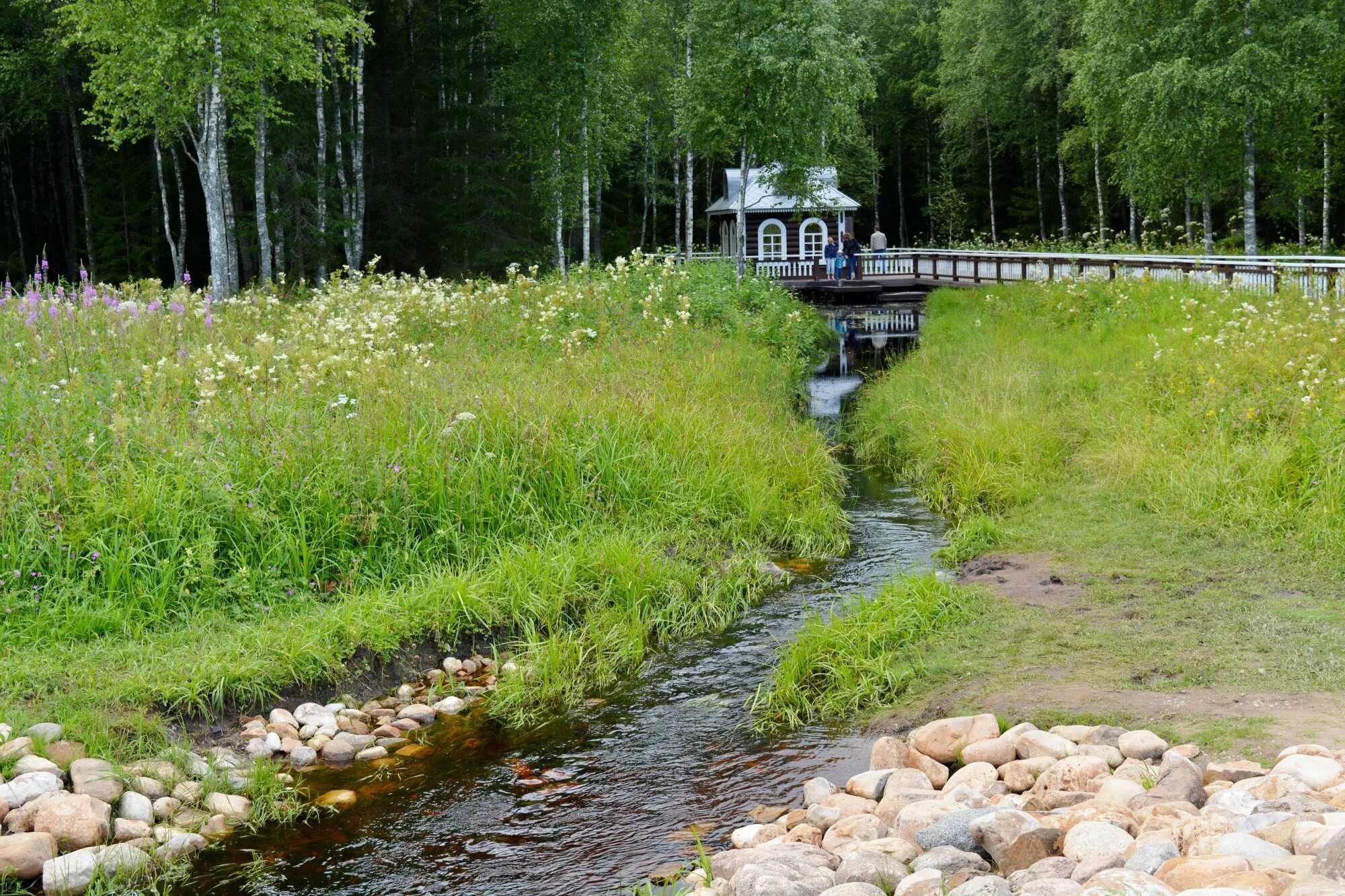 Строение реки. Река с частями и притоками. Исток реки волга. Части реки окружающий мир схема. Исток и устье реки ангара.
