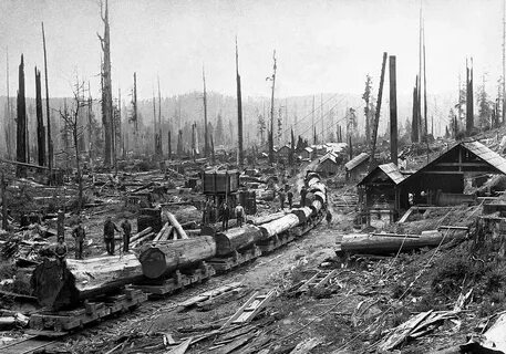 Logging time