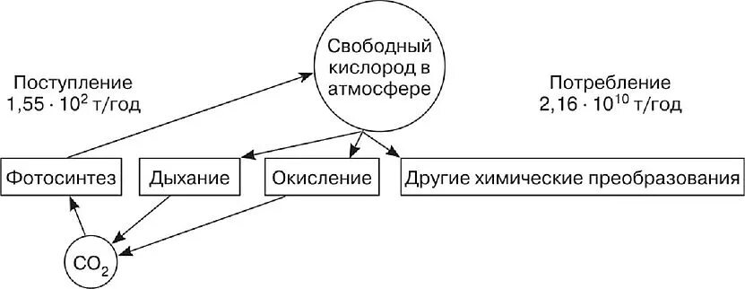 Процесс образования кислорода в атмосфере. Круговорот кислорода ( по п. дювиньо и м. тангу ). этапы круговорота кислорода в биосфере. круговорот кислорода в природе схема. круговорот кислорода в биосфере схема.