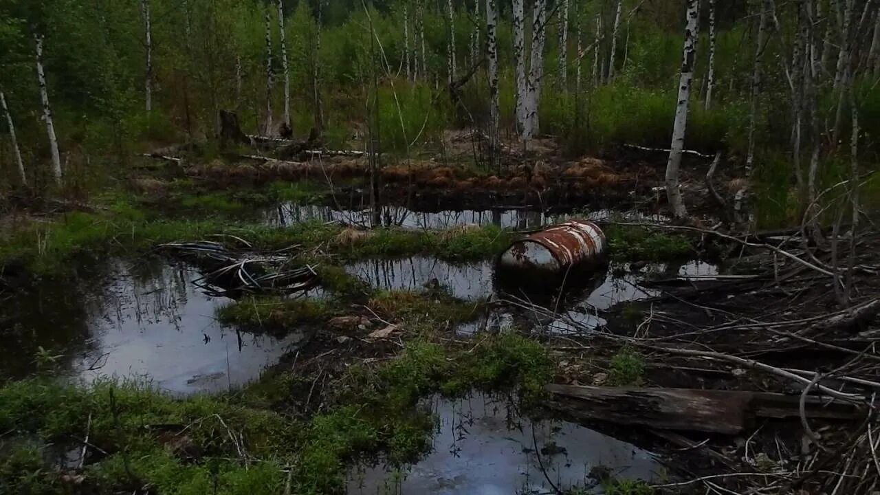 Объекты накопленного экологического ущерба. Накопленный экологический ущерб. Накопленный вред окружающей среде. Объекты накопления вреда окружающей среде.