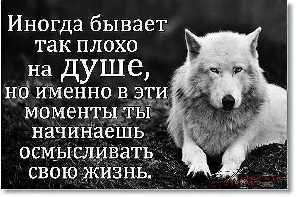 Когда человеку плохо на душе. Плохо на душе. высказывания когда на душе плохо. плохо на душе статусы. стихи когда плохо на душе.