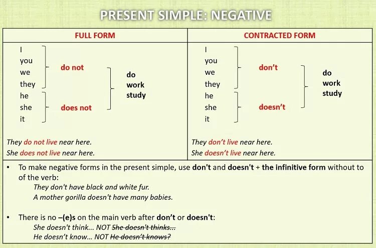 Правило present simple предложения