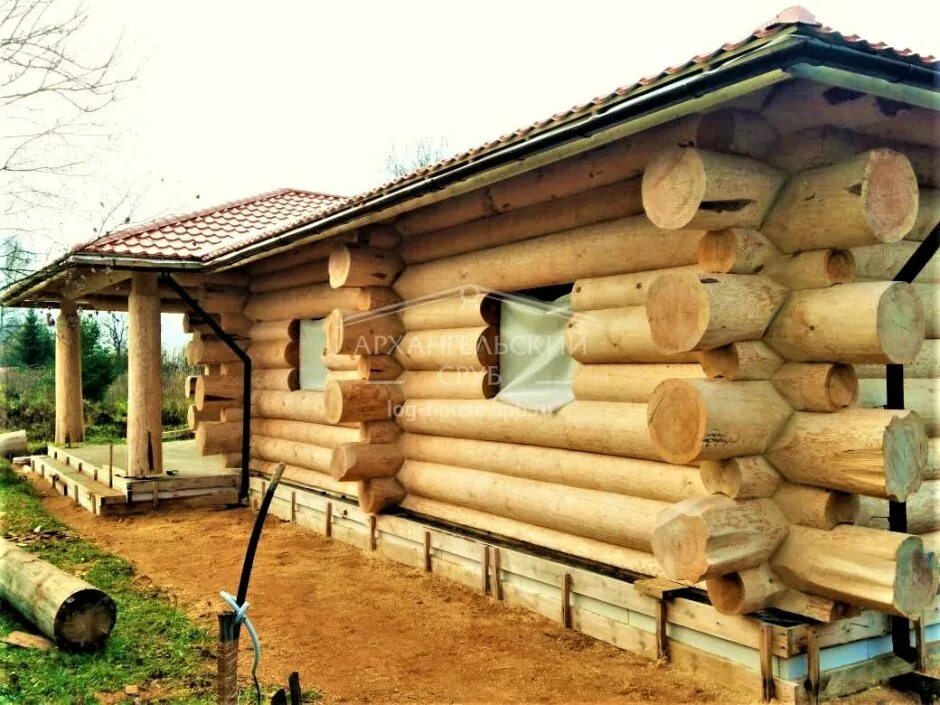 Срубы из архангельского леса. Архангельские срубы. Дом из архангельского бревна. Архангельский сруб. Срубы архангельская область.