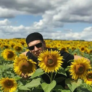 Подсолнуха мужчина