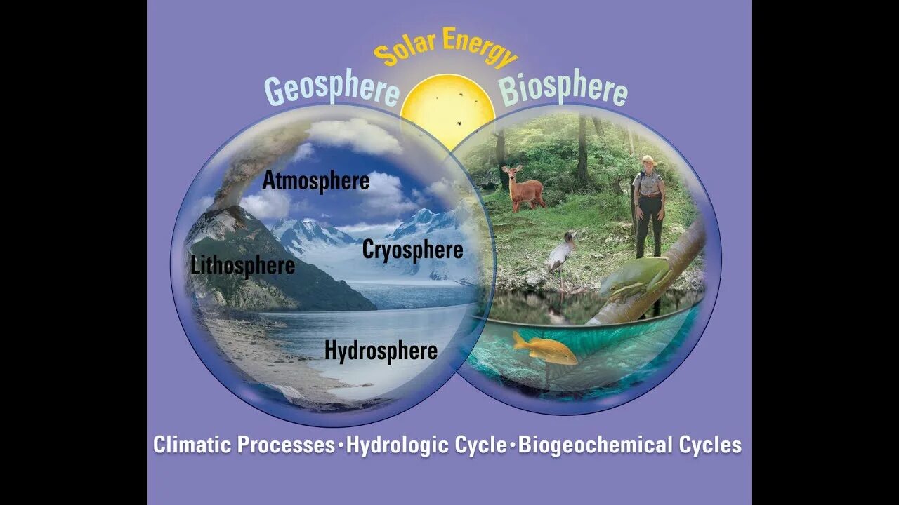 The term biosphere was coined. What is the biosphere. What is the biosphere. Hydrosphere structure. Al reem biosphere reserve.