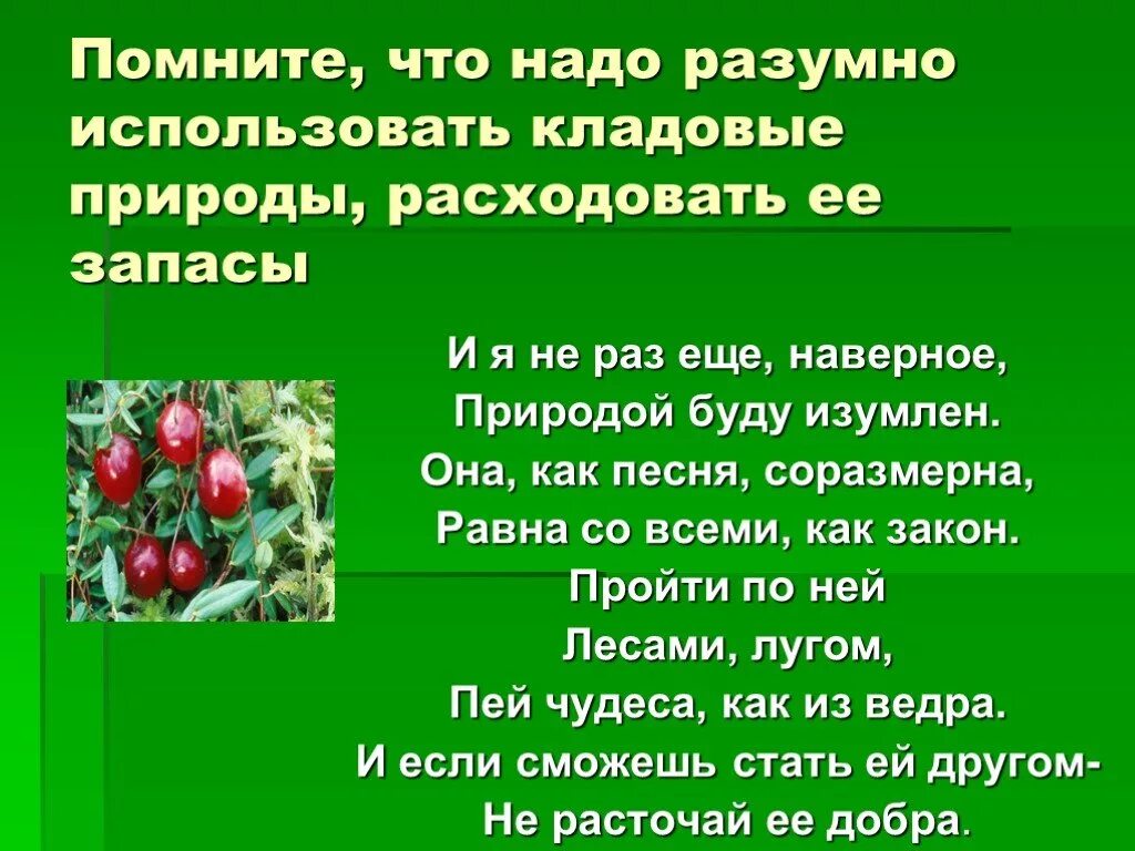 Лесная аптека презентация для дошкольников. Лес аптека для человека. Лесная аптека 2 класс окружающий мир. Лесная аптека презентация. Лесная аптека.