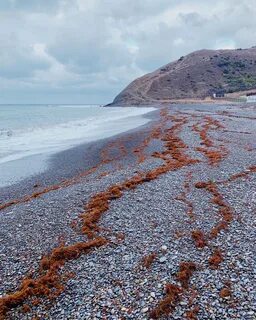 Вода в сукко сейчас