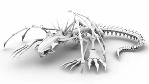 Dragon bones