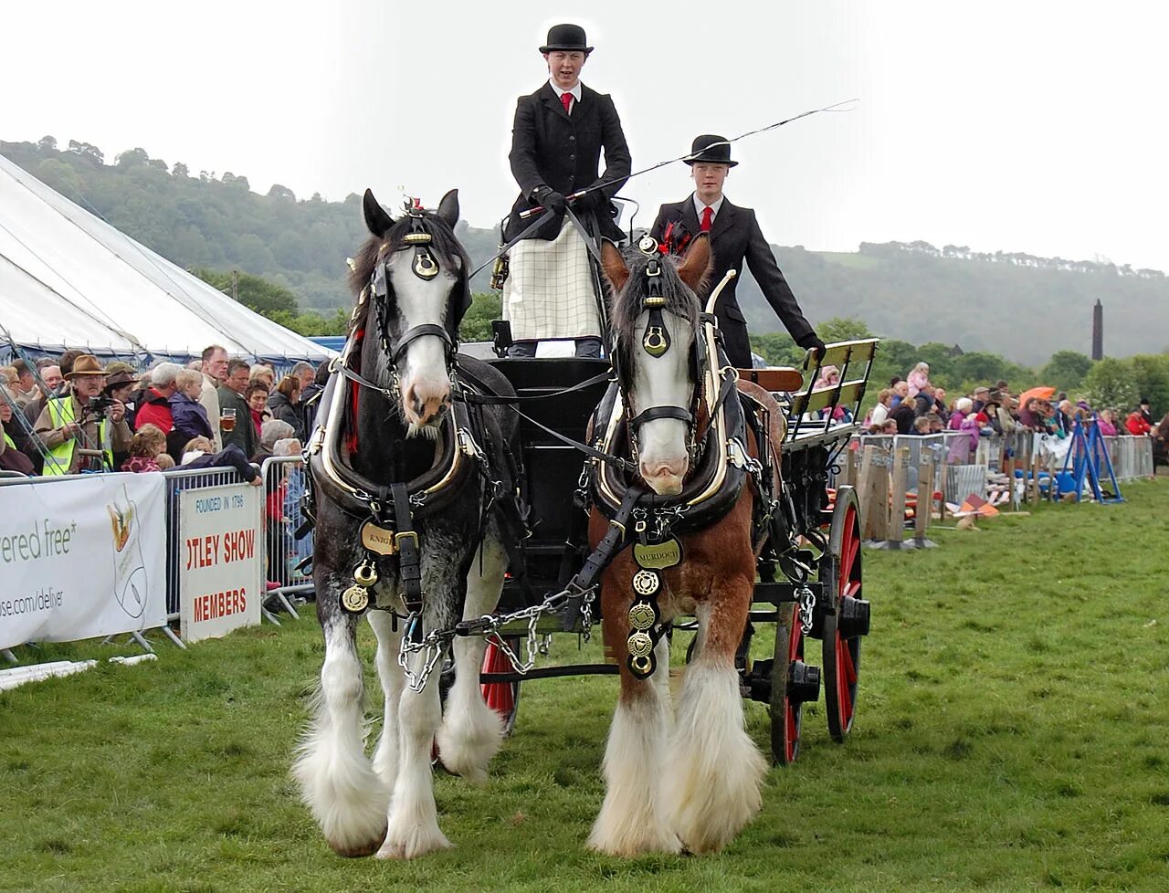 Driving horse