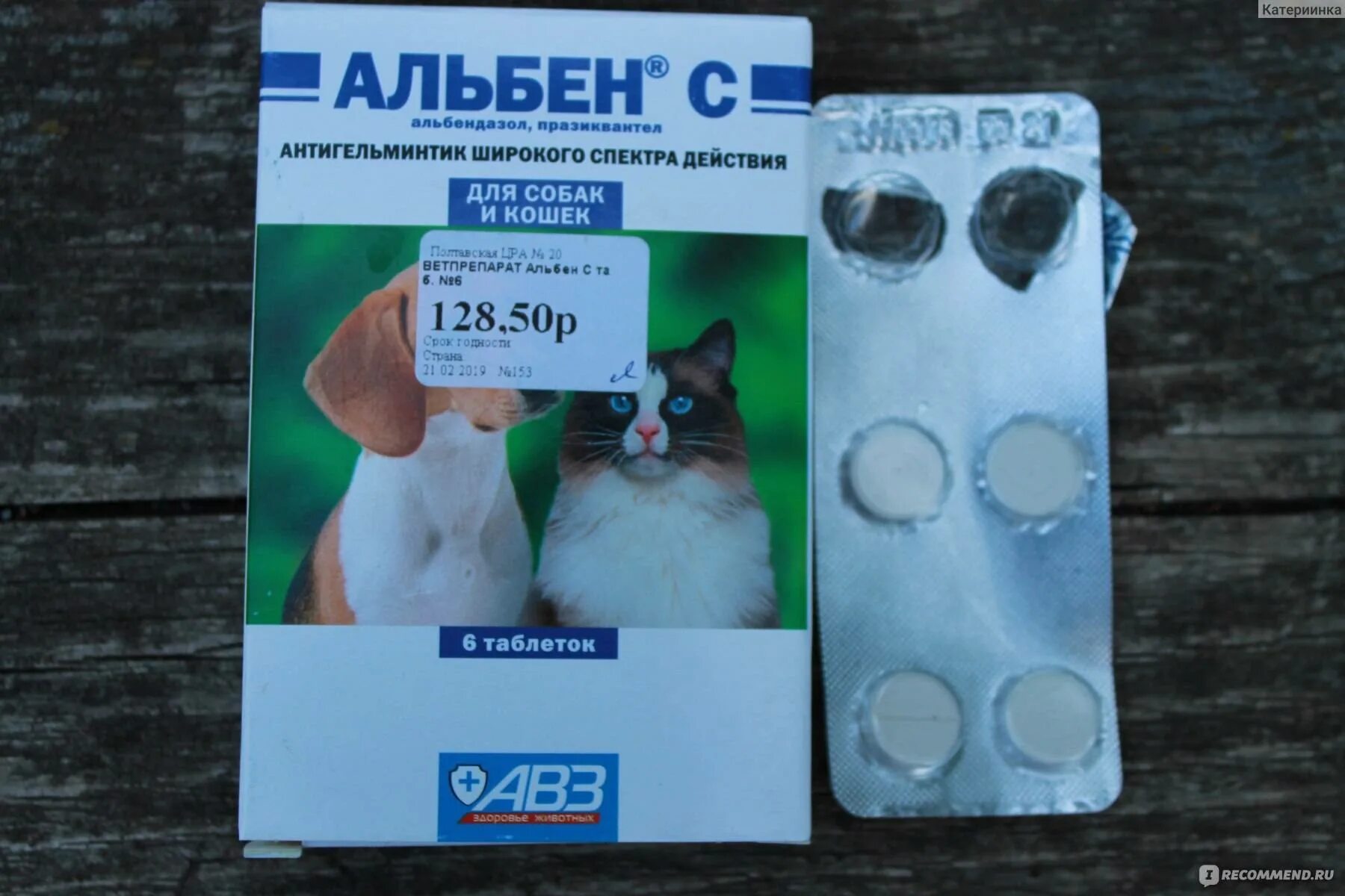 Можно ли давать альбен. Альбен таблетки для собак. альбен с таблетки для собак и кошек. альбен альбендазол. альбен таблетки альбендазол.