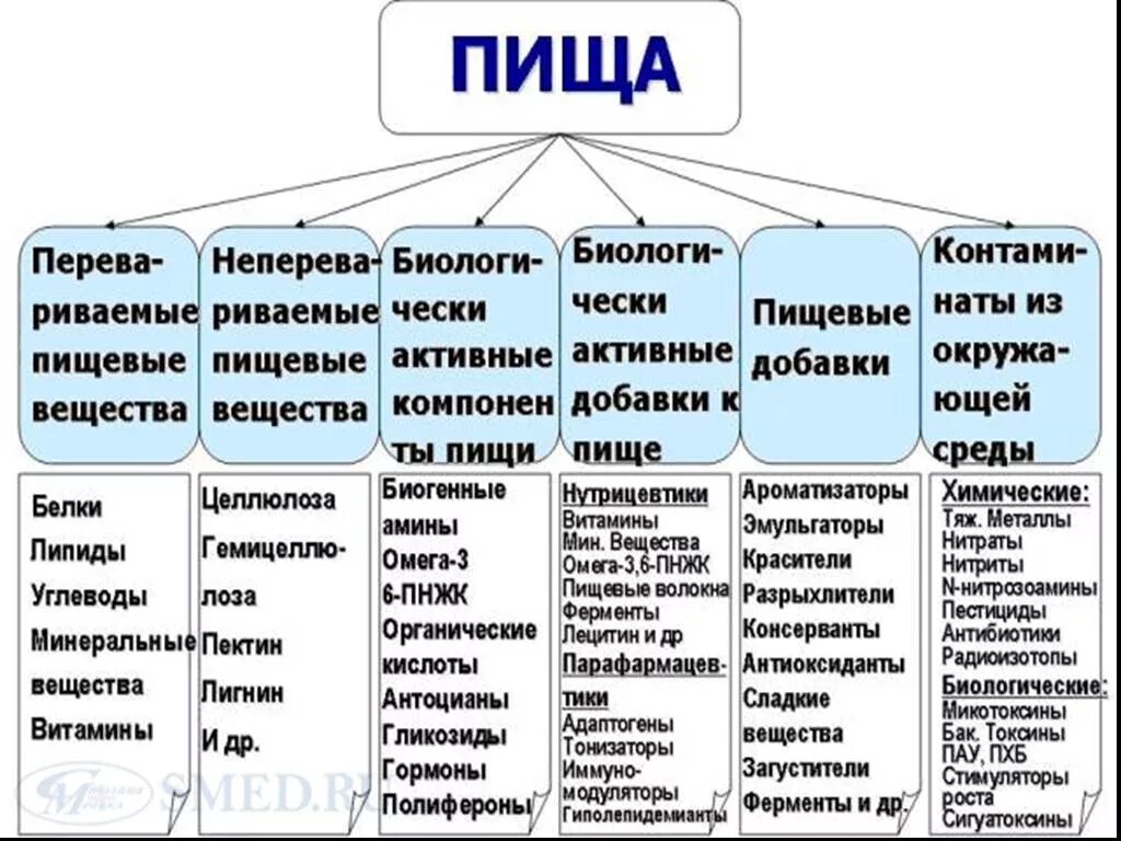 Значение основных компонентов пищи. Состав пищи человека. Основные компоненты пищи таблица. Таблица по биологии состав пищи.