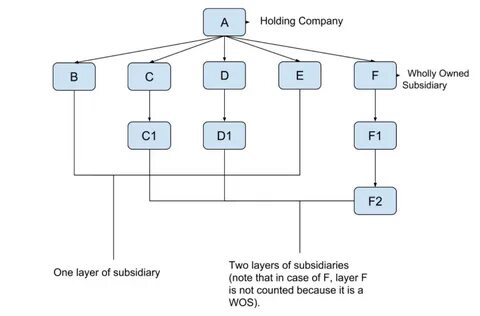 Subsidiary company