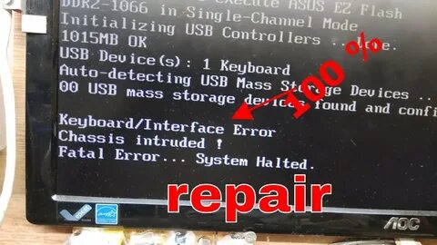System halted