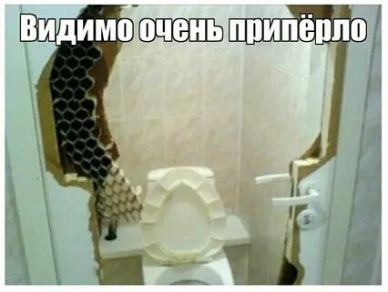 Не добежала до туалета