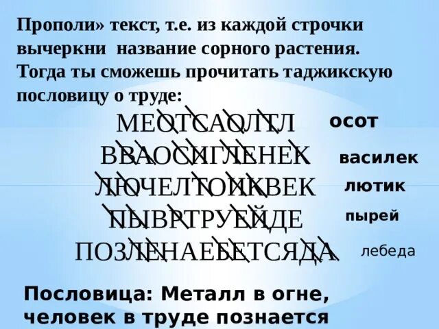 Слова на т 8. Таджикская пословица о труде. Таджикские поговорки. Таджикские пословицы. Таджикистанская пословица о труде.