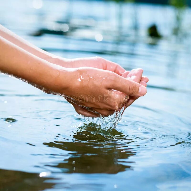 Вода в руках человека. Вода в ладонях. Девушка с водой в руках. Рука касается воды. Включи руки вода