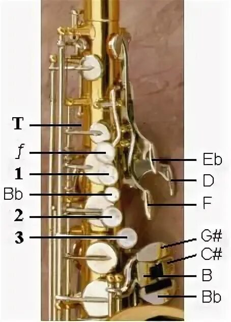 Октавный клапан на саксофоне. Октавный клапан на саксофоне Альт. Sax Alto октавный клапан. Саксофон клапан Ре 3 октавы. Клапан саксофона