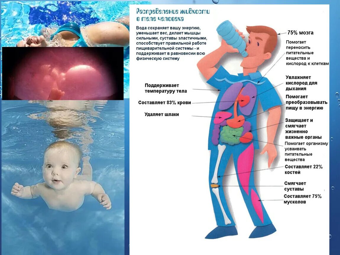 Вода для кишечника какая. Вода попадает в кишечник