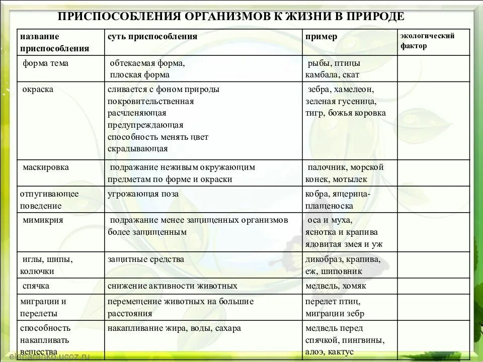 Таблица приспособленность организмов. Приспособление организмов к жизни в природе таблица. Таблица адаптации организмов. Таблица по приспособленности организмов.