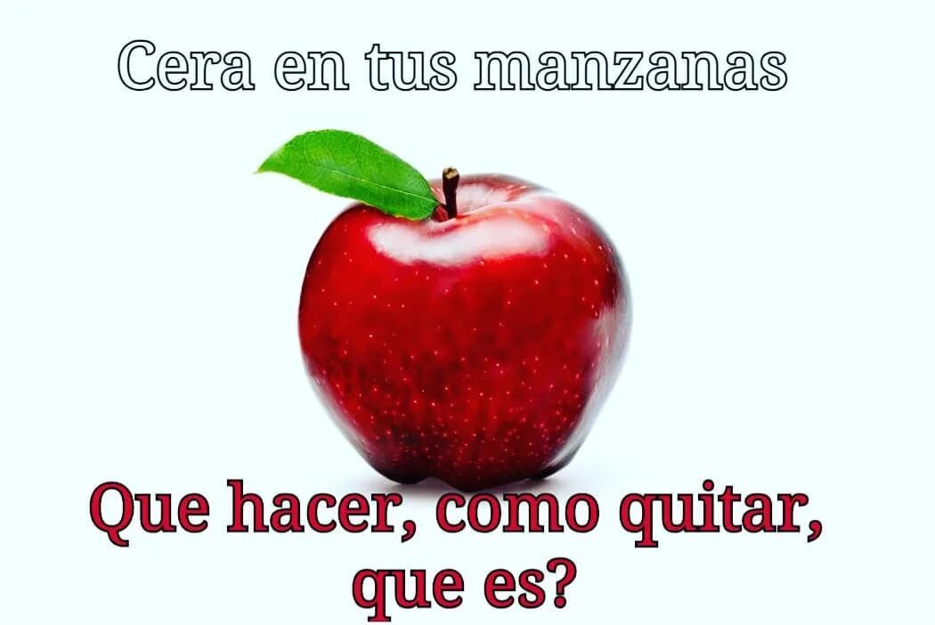 Como y cuando podar los manzanos