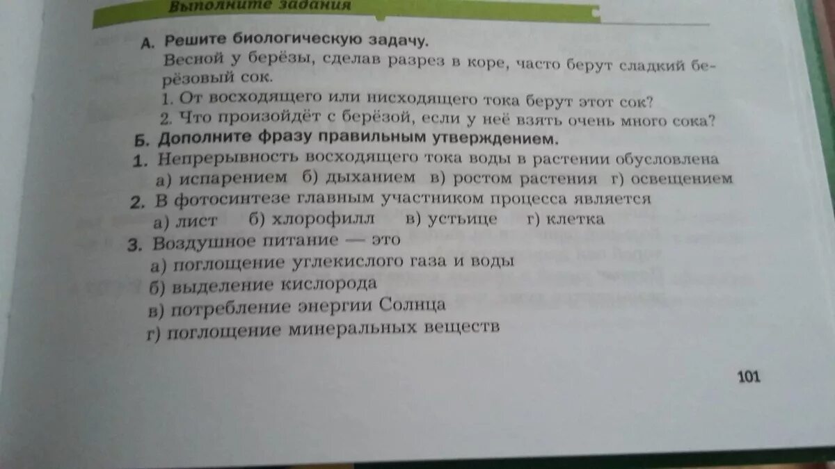 Непрерывность восходящего тока в растении обусловлена