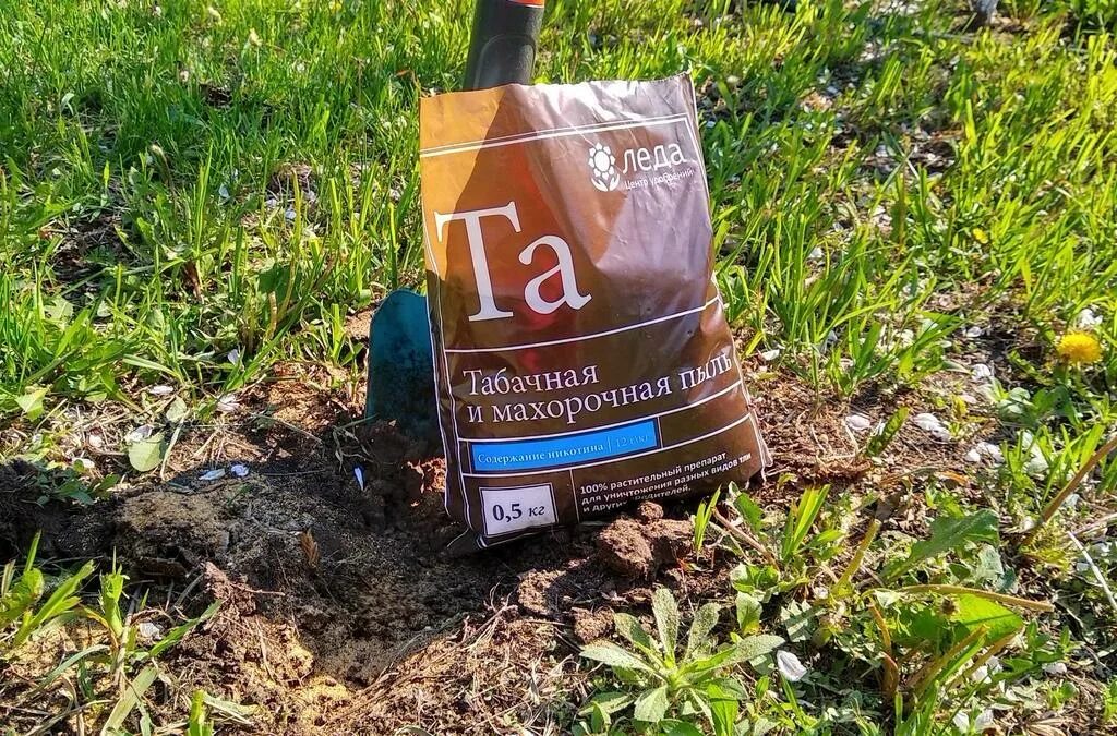 Можно ли табачной пылью