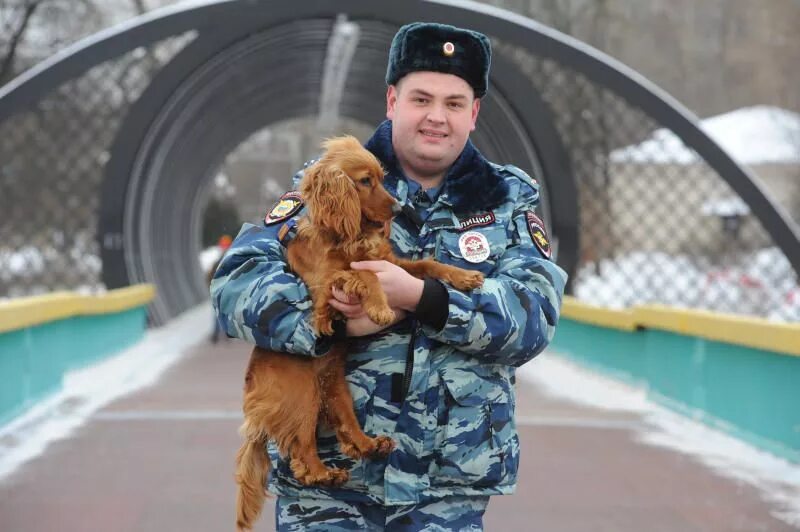 Московских кинолог. Кинологический урок. Зарбазан собака. Зарбазан.