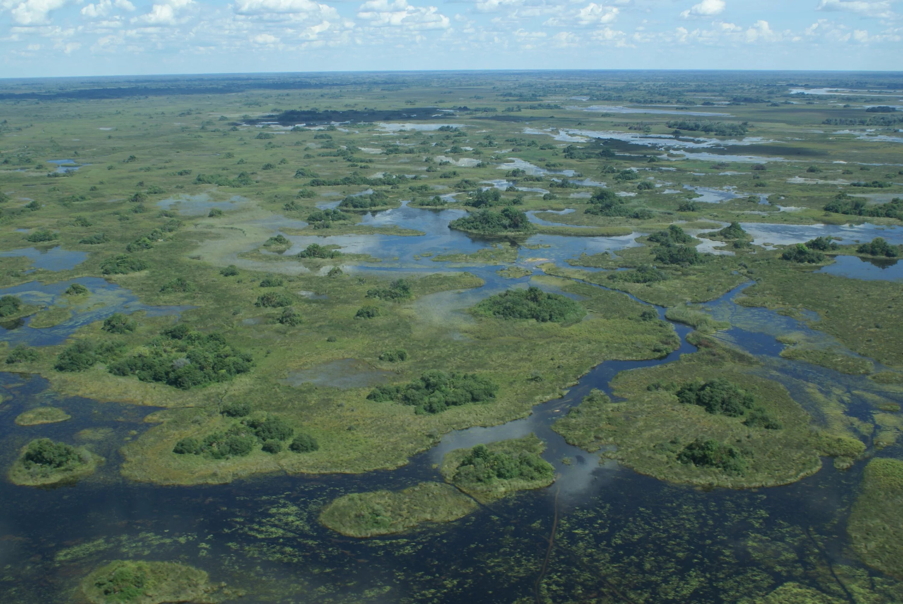Окно болота. Дельта Окаванго Ботсвана. Дельта реки Окаванго в Ботсване. Дельта Окаванго Африка. Дельта реки Окаванго Африка.