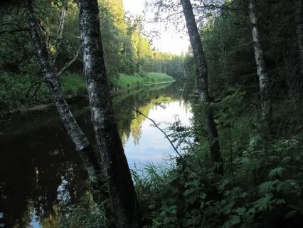 Река пала
