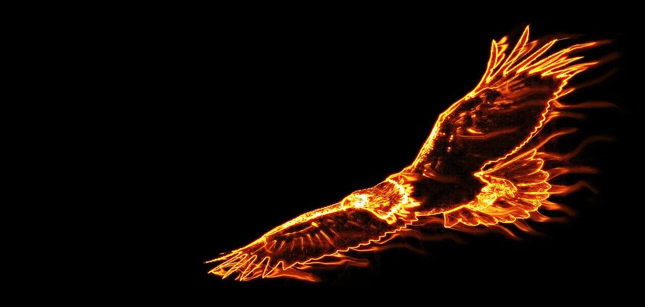 Феникс огненных гор. Огненный Орел. Птица Феникс. Огненная птица. Феникс в огне.