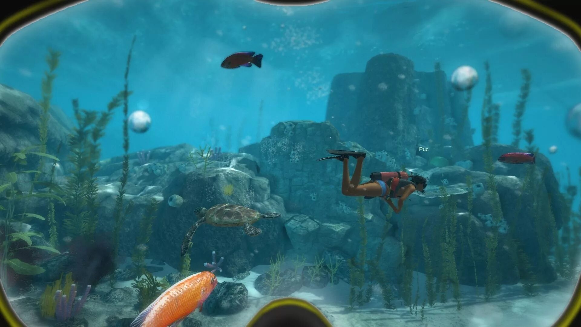 World of Diving игра. Подводные миры в играх. Игра про подводный мир. Игра про аквалангиста.