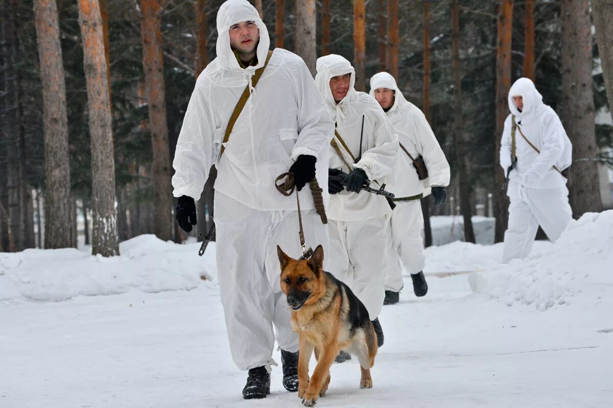 Служба дозор. Пограничник в дозоре. Собаки на службе пограничника России. Пограничник с собакой зимой. Пограничники в зимнем МАСКХАЛАТЕ.