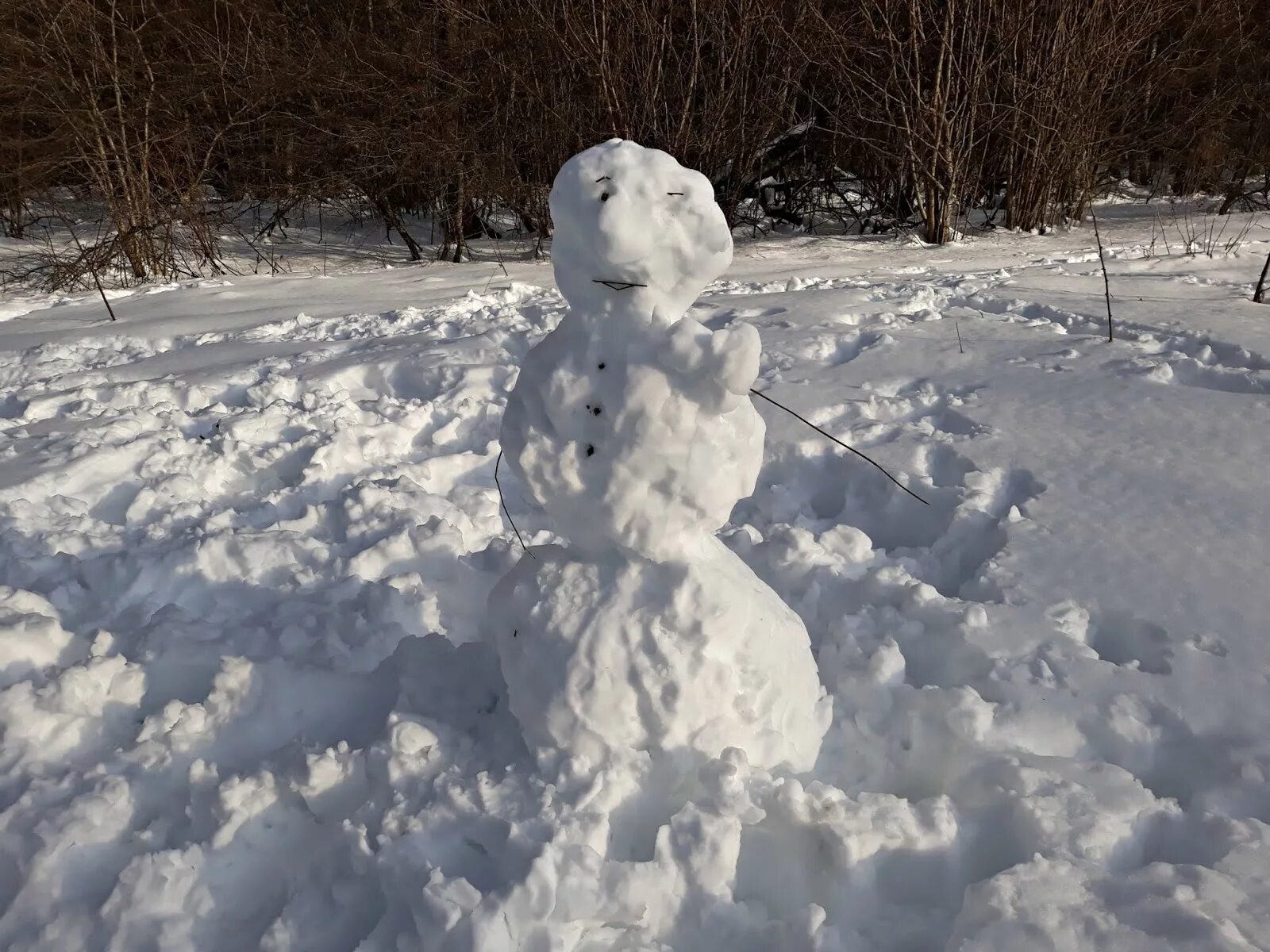 Снегр. Снежная баба в лесу. Загадки про снег. Снеговик картинка. Загадки про снег.