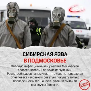 Инфекция сибирской язвы