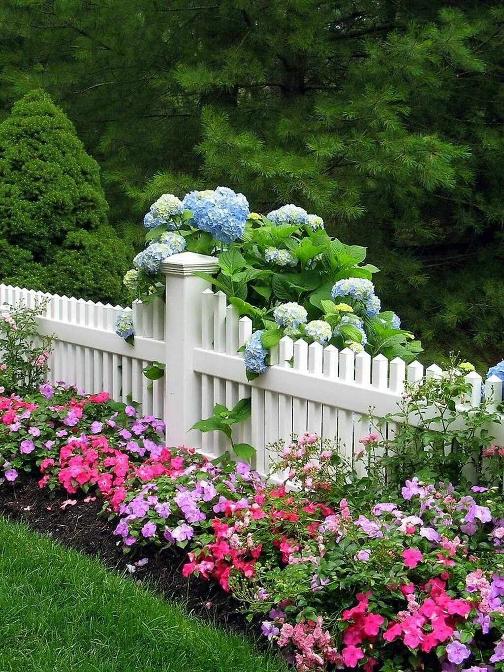 Посадить цветы возле дома. Палисадники клумбы лужайки. Палисадник Энфилд. Призаборная клумба. Палисад вдоль забора.