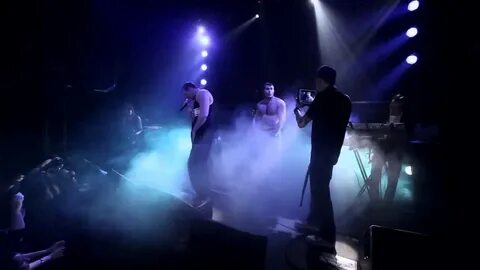 Лок дог концерт