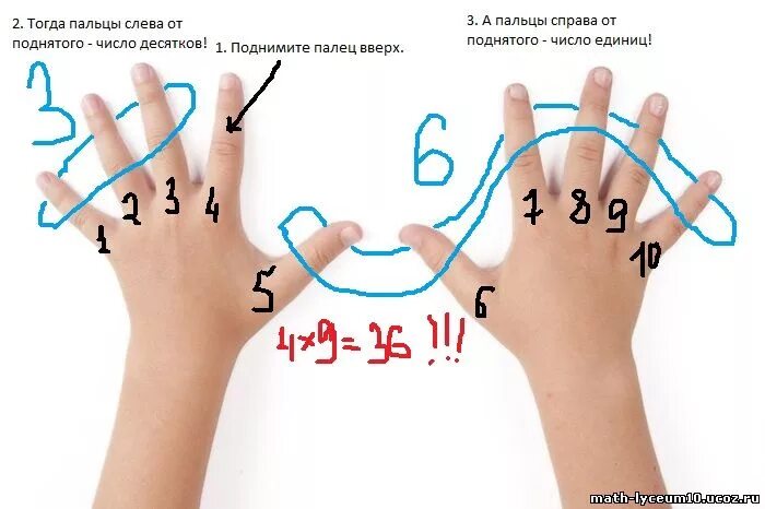 Умножения по китайской методике. Способ умножения на пальцах. Необычные способы умножения чисел. Таблица умножения на пальцах. Можно считать на пальцах